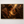 Saint Veronica Wipes The Face Of Jesus | Canvas Wall Art