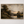 Blessed Is The One Who Trusts | Jeremiah 17 Canvas Art