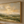 Rustic Meadows | Minimal Sage Green Landscape Canvas